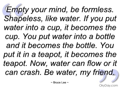 empty-your-mind-bruce-lee-quotes-and-sayings-bruce-lee-water-quote.jpg