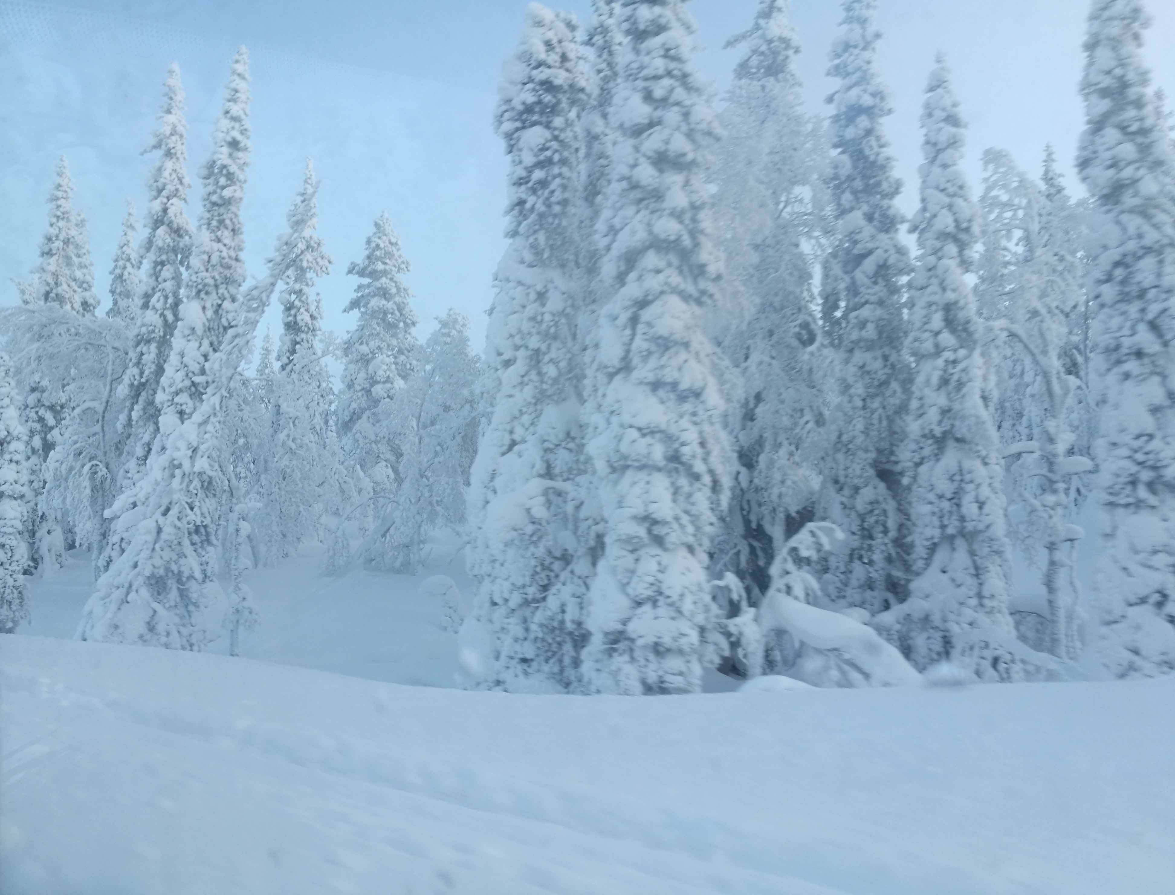 Beautiful Winter Photos Landscape Photography Trees Steemit