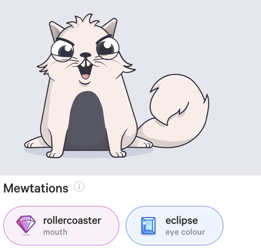 Rollercoaster_Kitty.png
