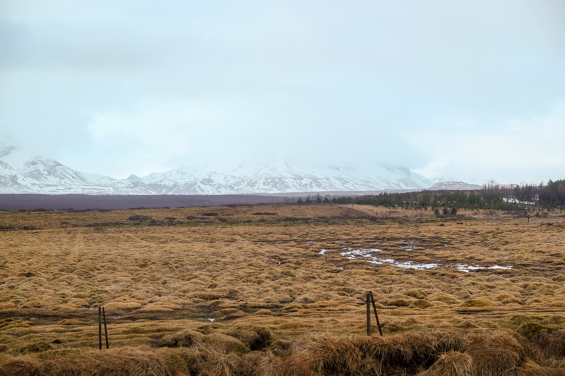 islandia1-10.jpg