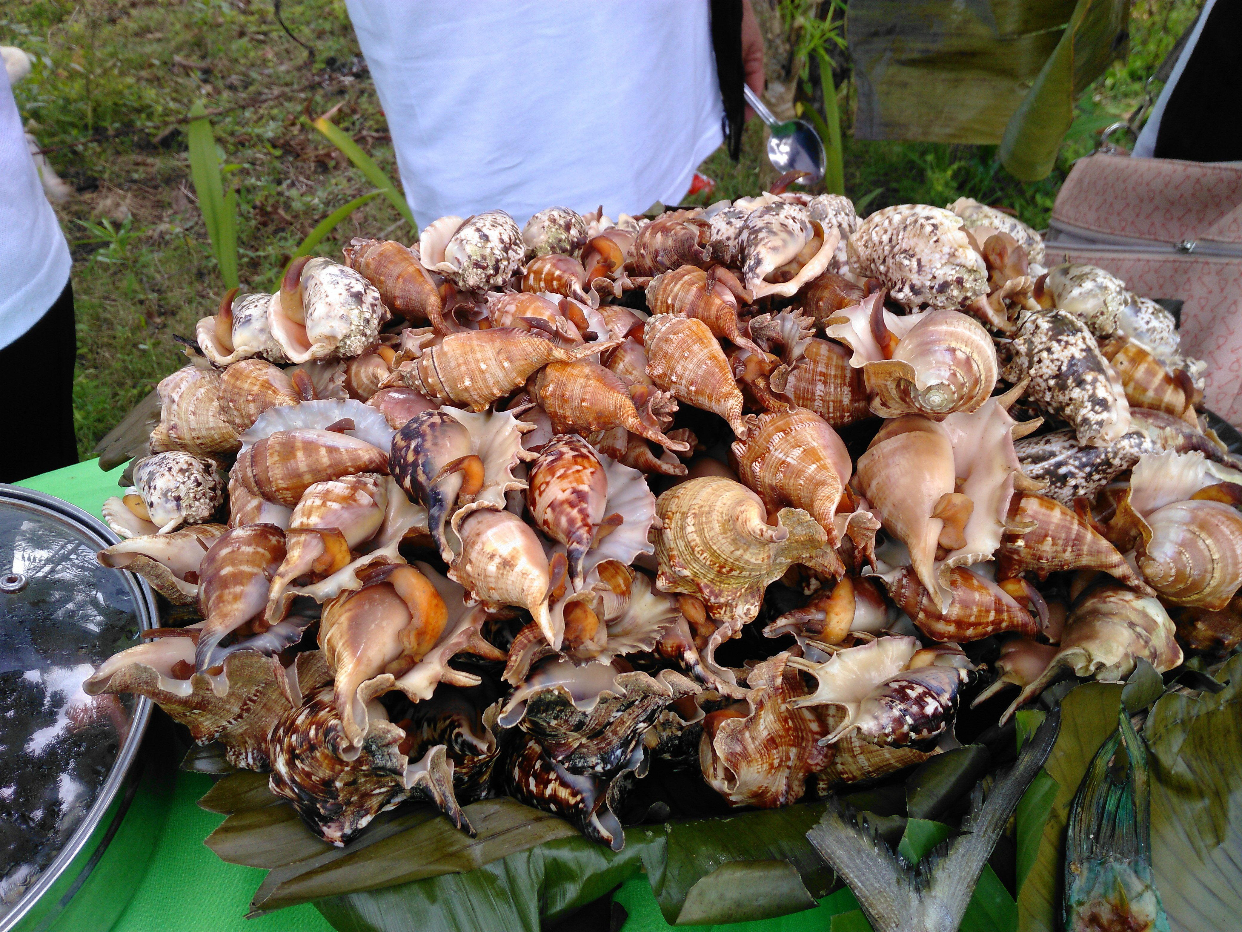 2017-11-09 12.17.21 1.jpg