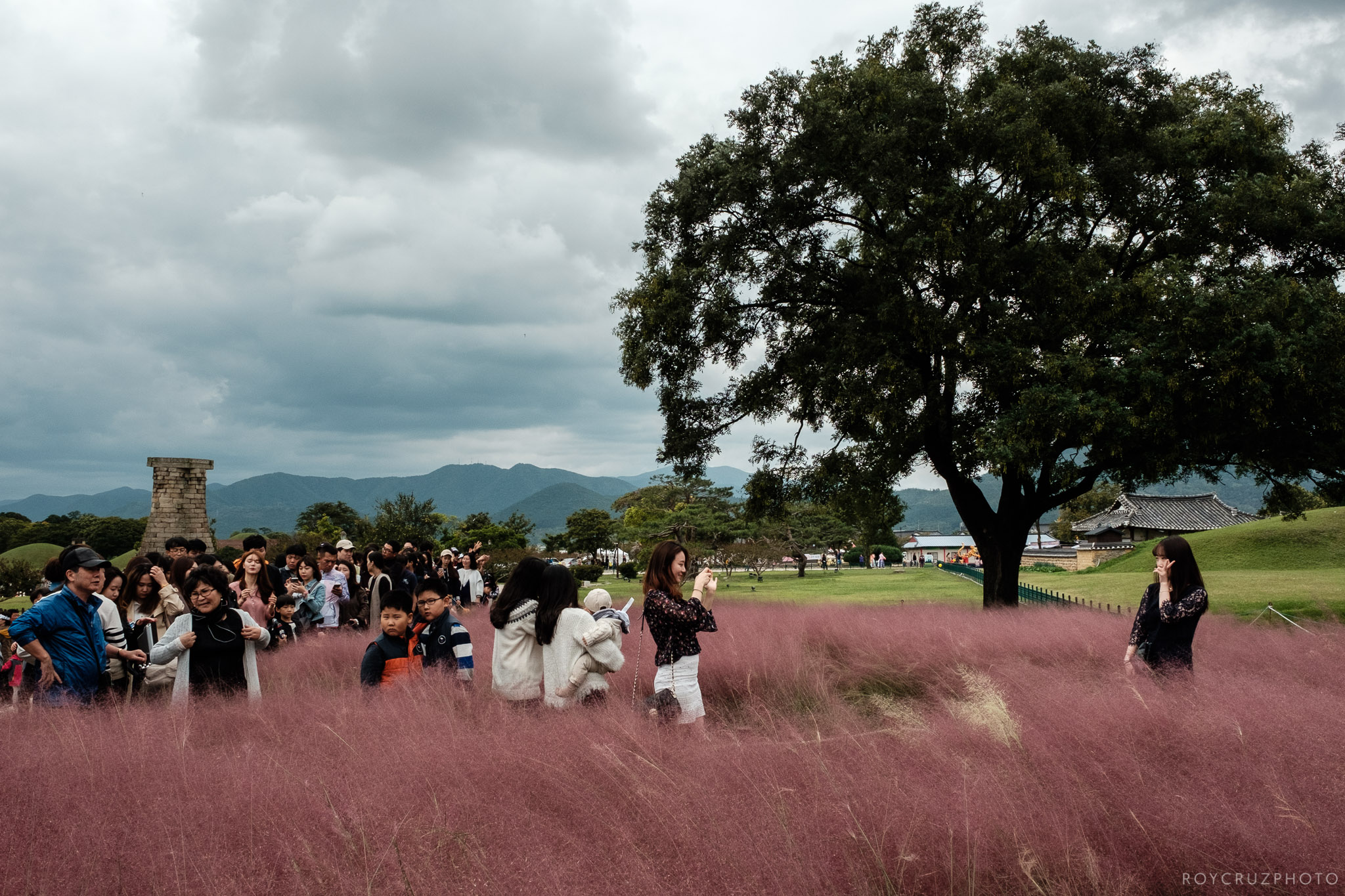 Gyeongju Street Photography October-1.jpg