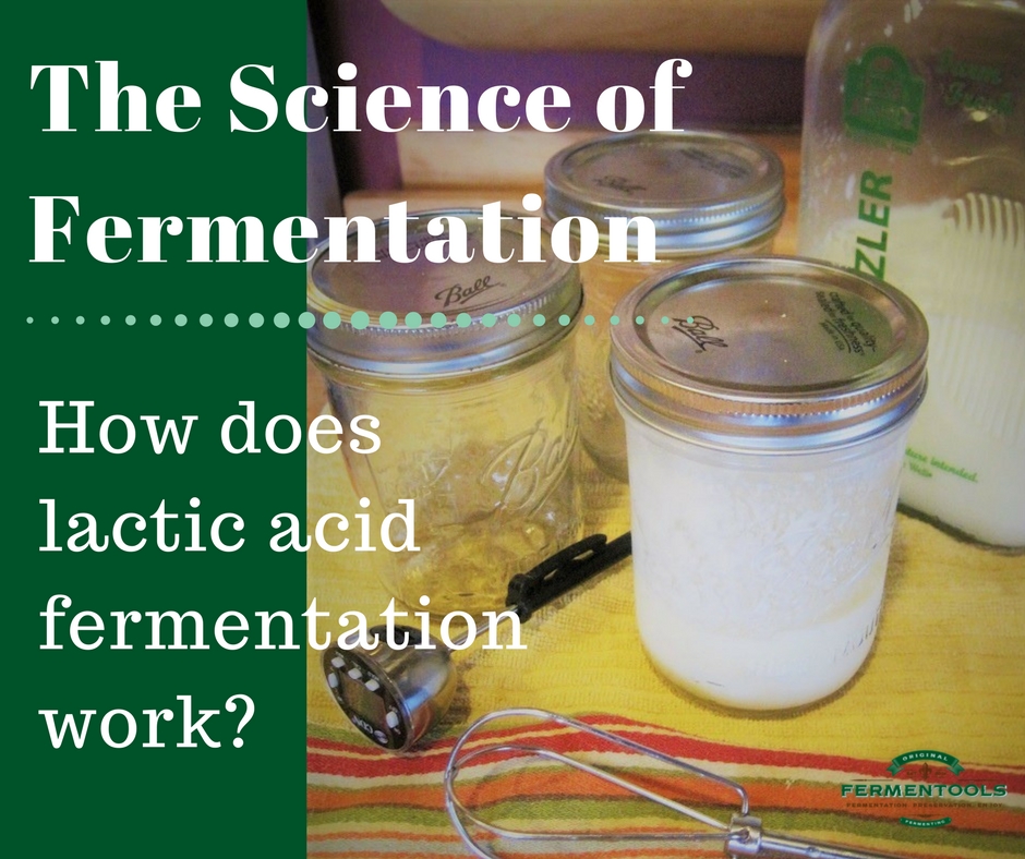 The-Science-of-Fermentation.jpg