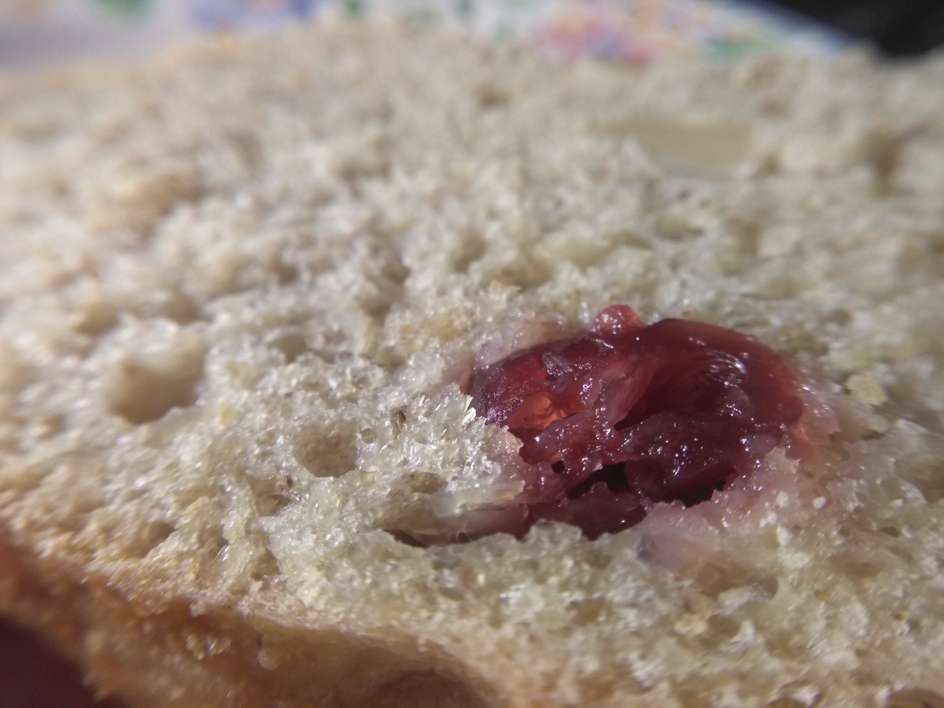 Cranberry & cashew bread, macro photography. (206/365)