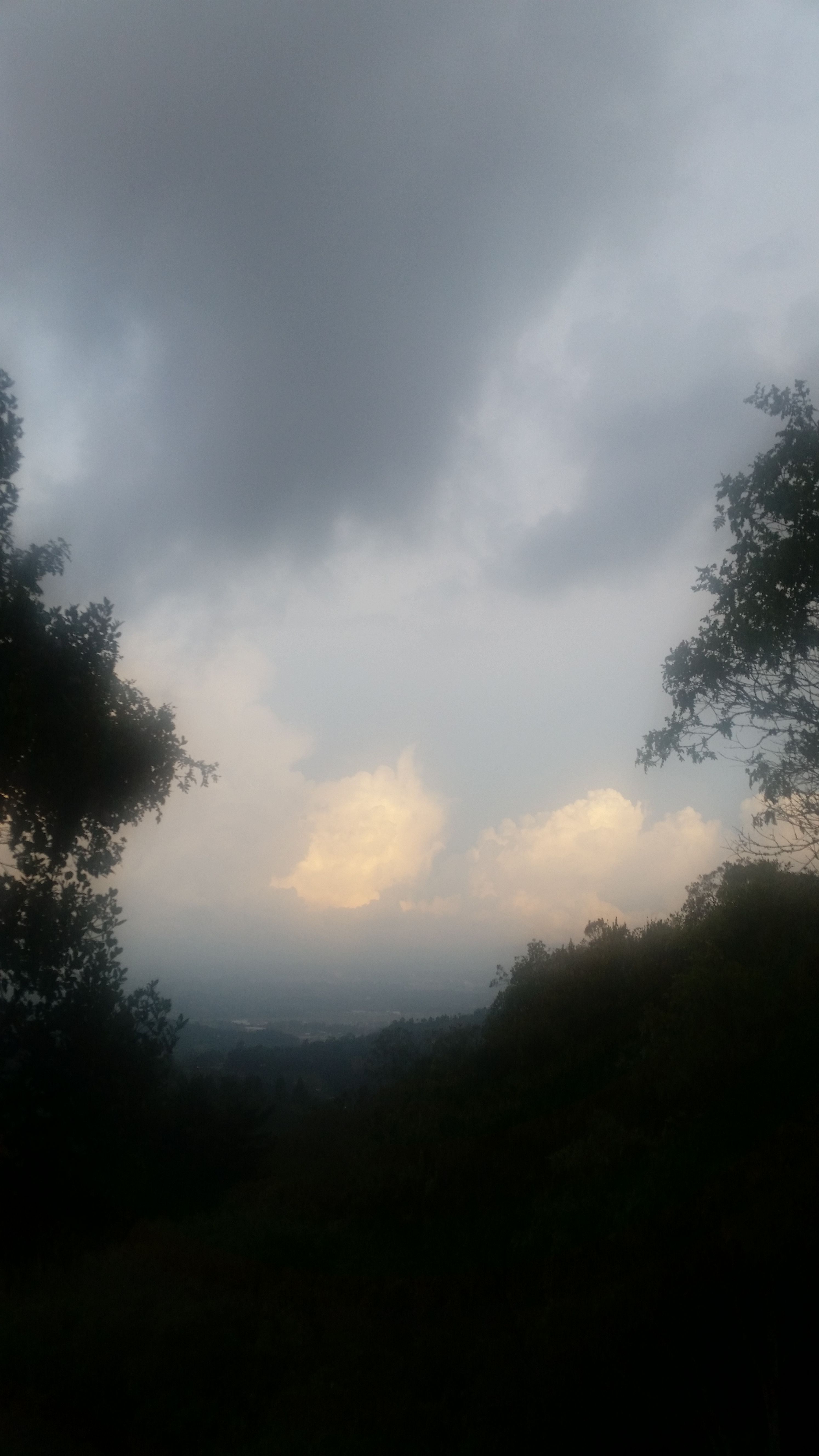 20170922_173825.jpg