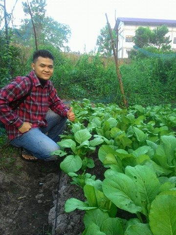 Budidaya Tanaman Hortikultura Cultivation Of Horticultural Crops 5 Ind Eng Steemit