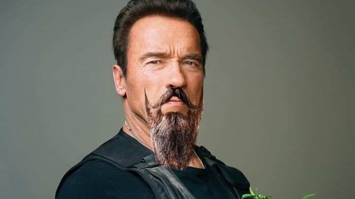 arnold copy.jpg