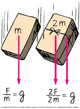 gravitational-acceleration-g-is-constant.jpg