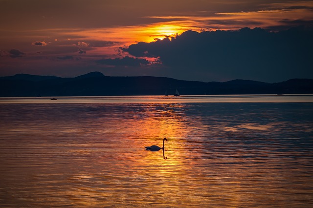 lake-balaton-1608565_640.jpg