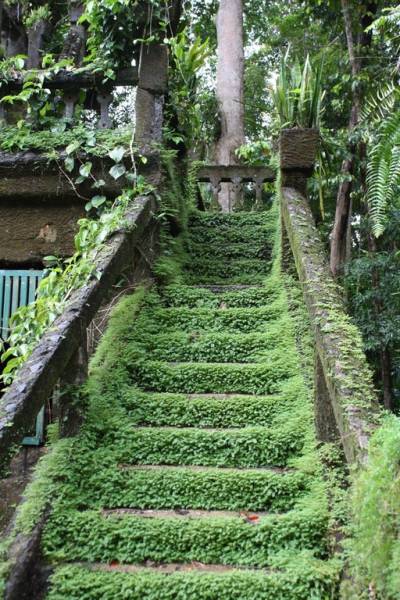 green stair.jpg