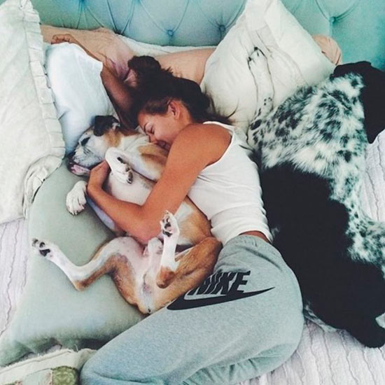 persona-durmiendo-con-perros.jpg