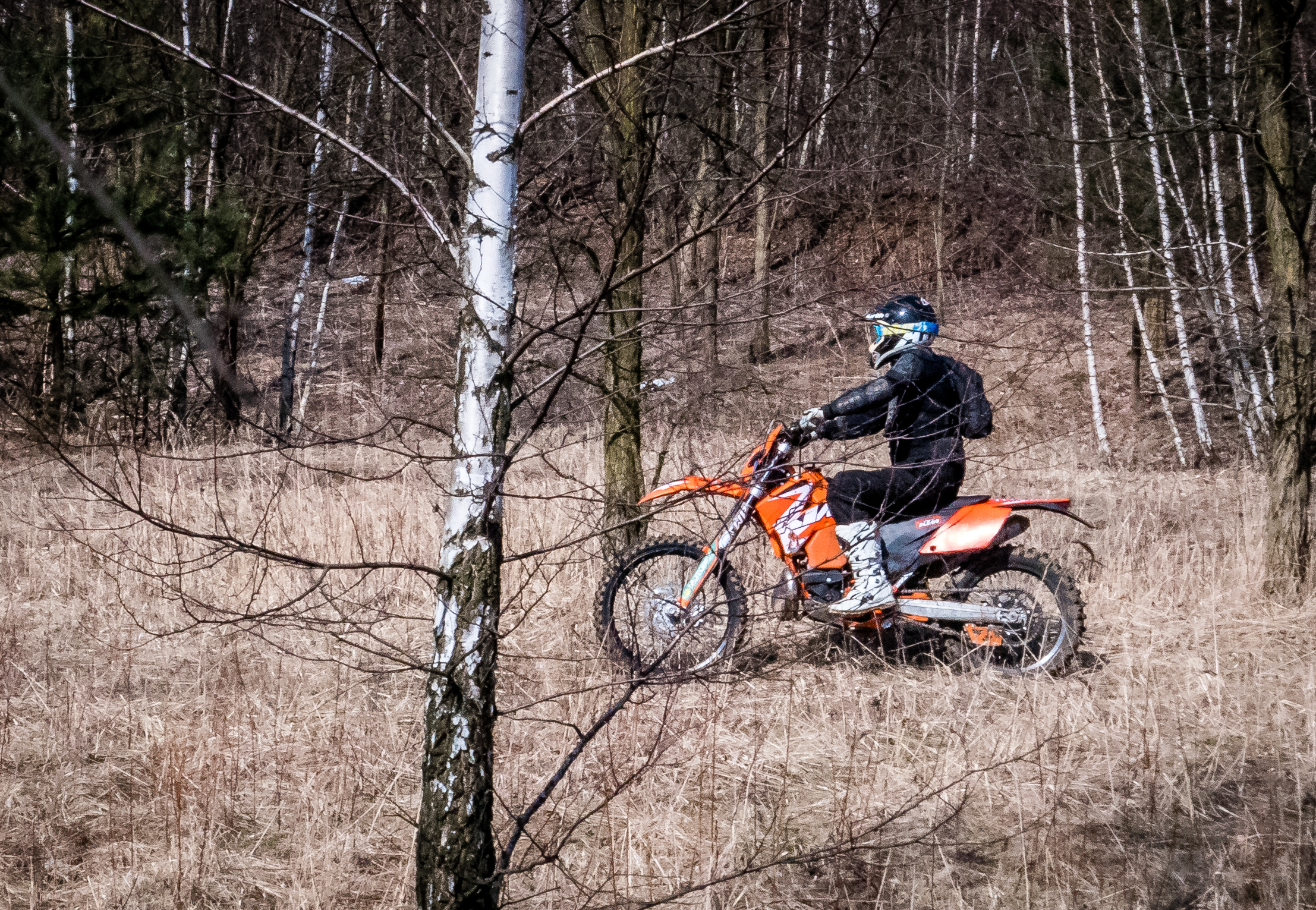 motory-3.jpg