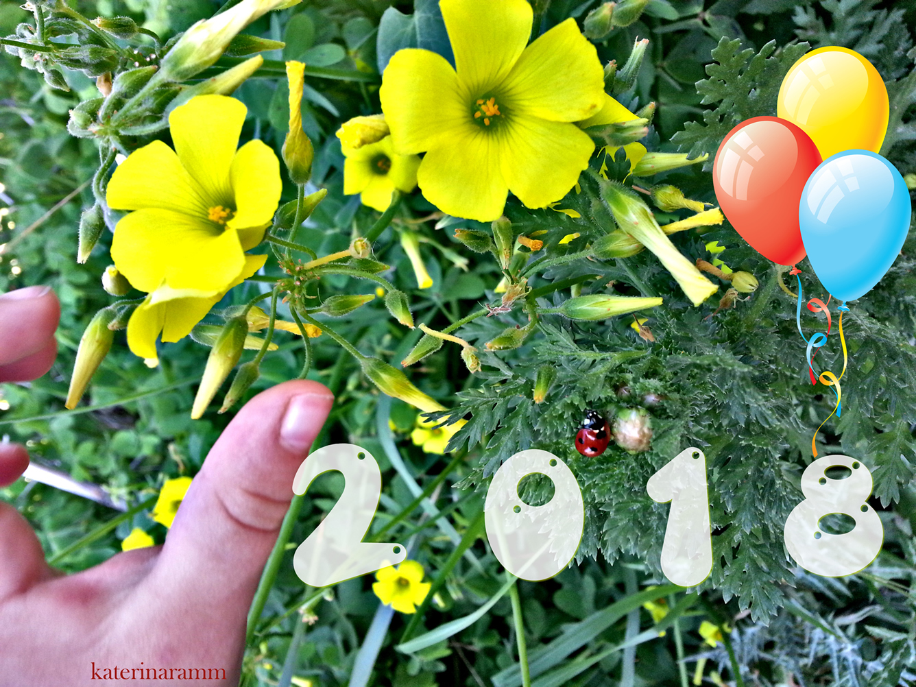 newyear2018.jpg