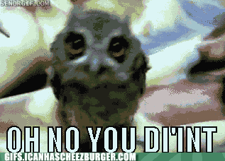 giphy (22).gif