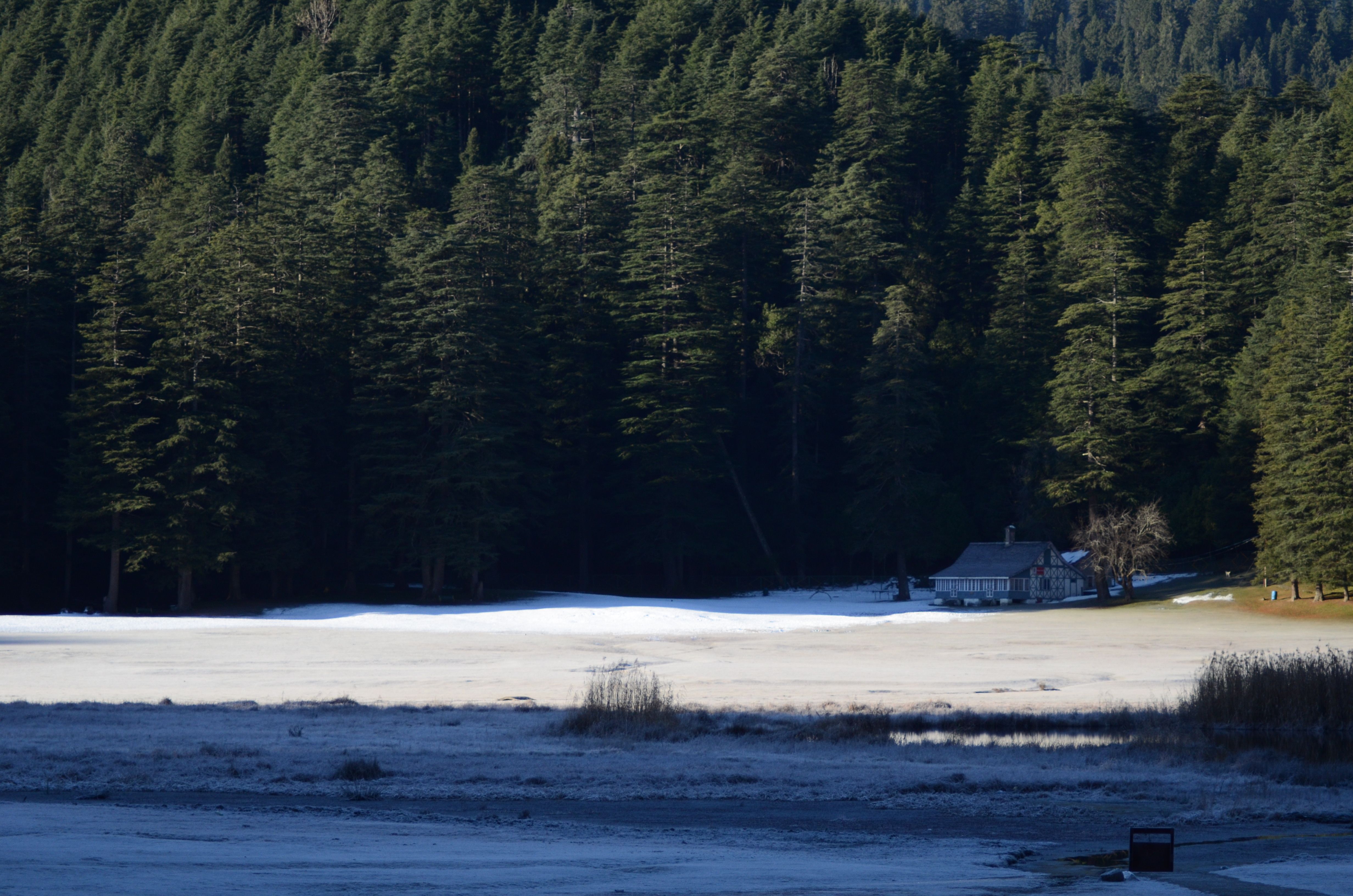 DSC_1339.JPG