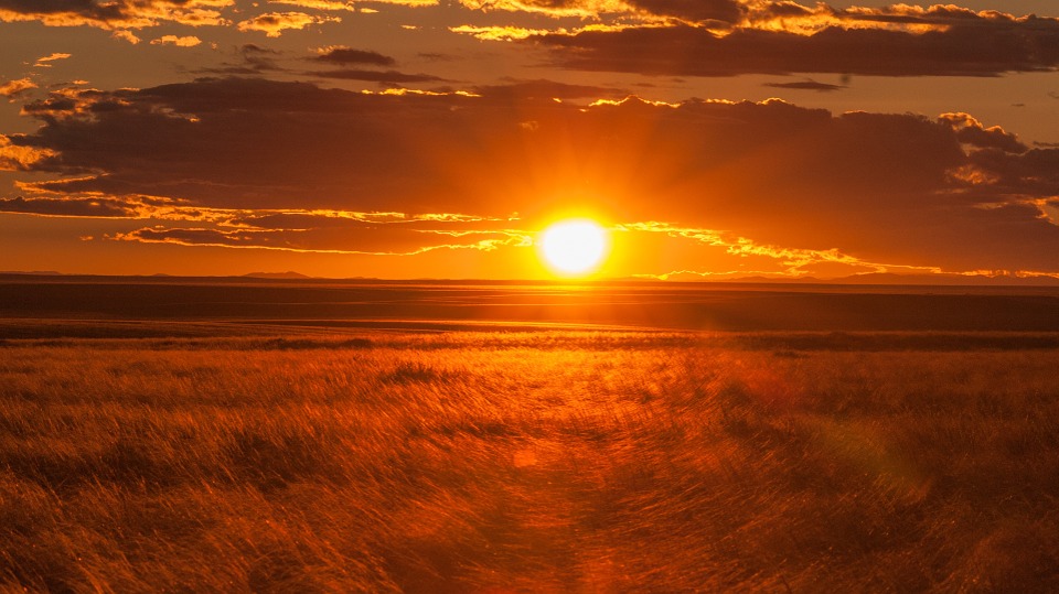 mongolia-831298_960_720.jpg