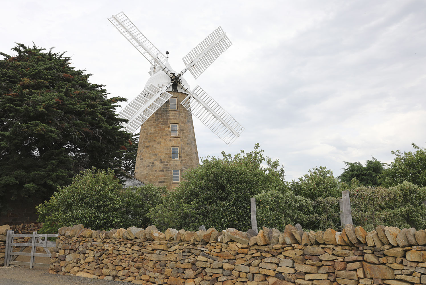 Callington-Mill-c.jpg