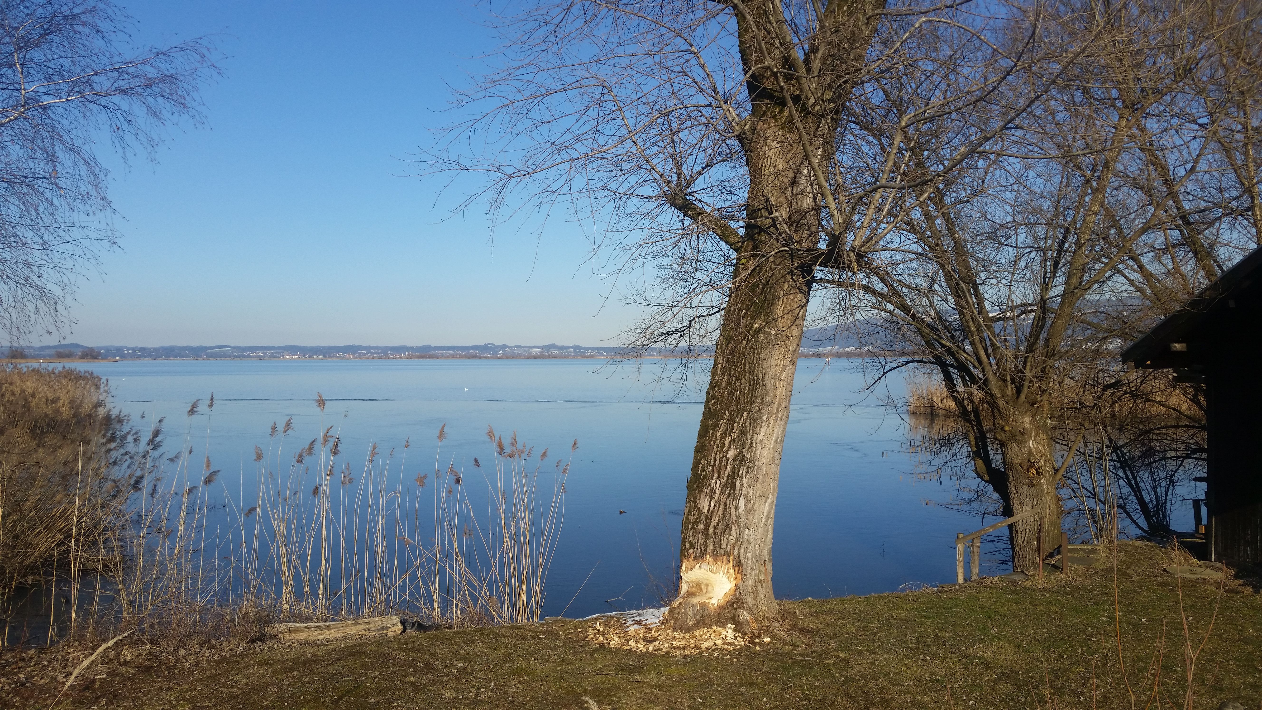 20180214_151845.jpg