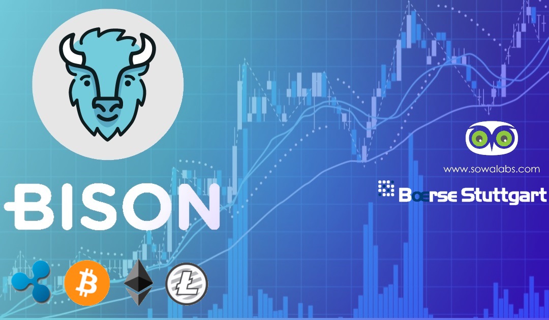 bison crypto exchange