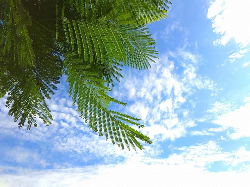 Another Amazing Combination Of Nature You Don't Want To MIss It.jpg