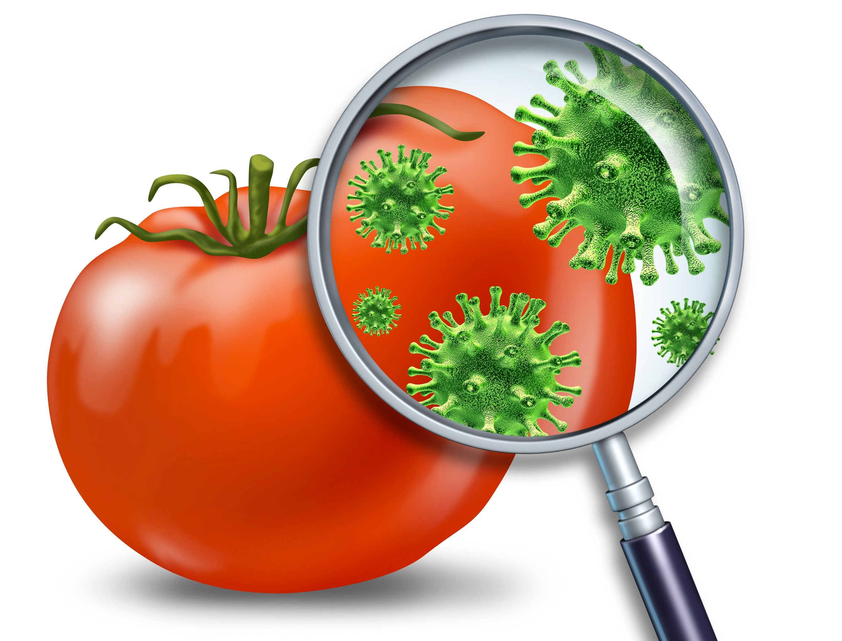 Микробы на овощах