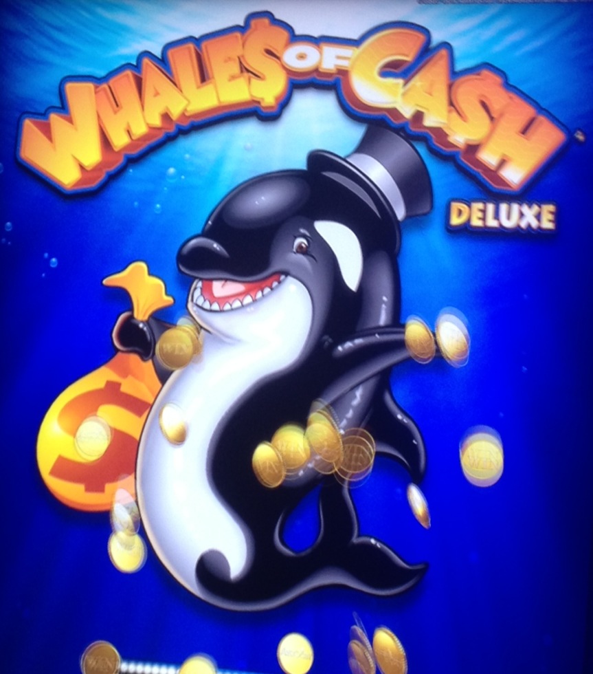 whales of cash free slots