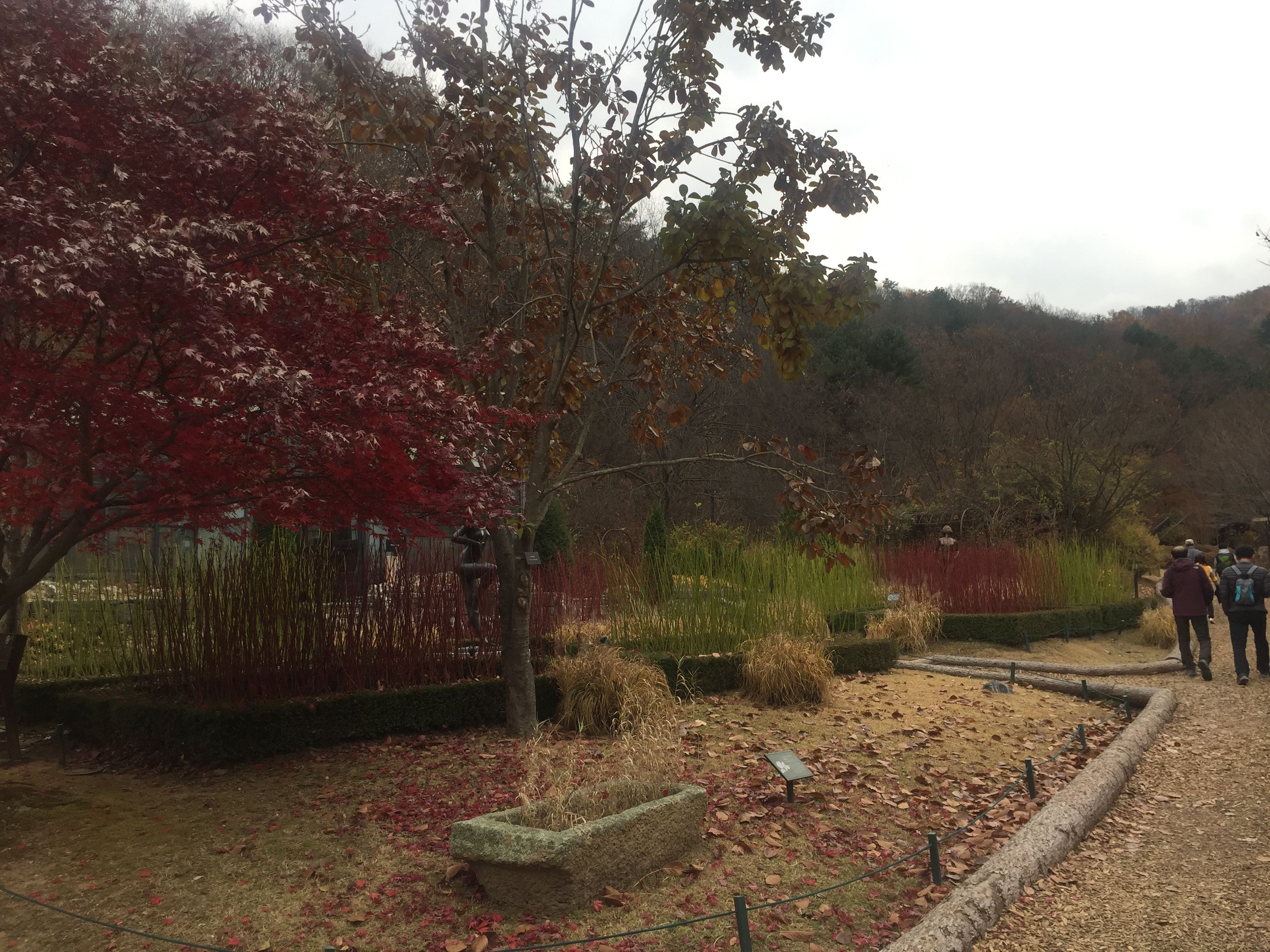 KakaoTalk_2017-11-12-16-03-59_Photo_9.jpeg