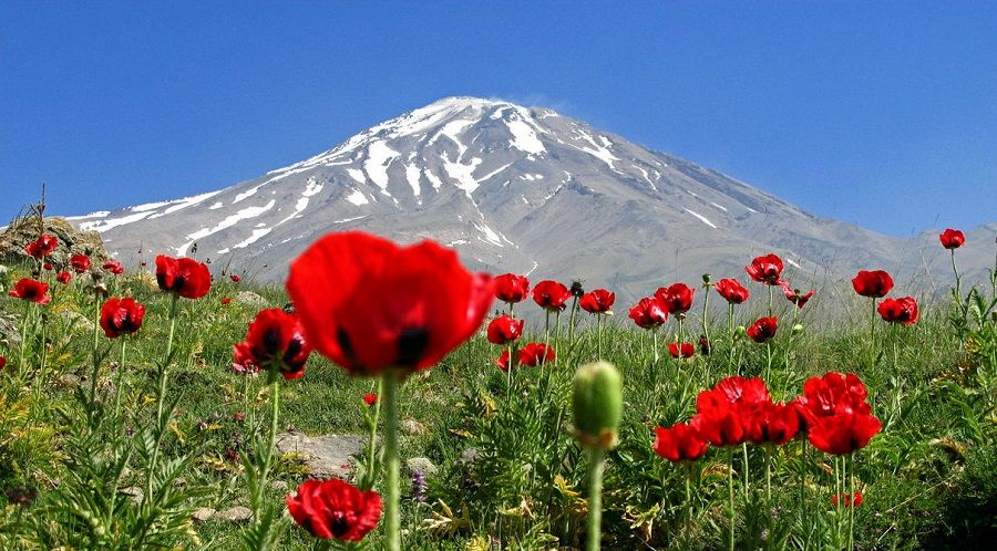 Mount+Damavand+Iran+Cafegardesh+(1).jpg