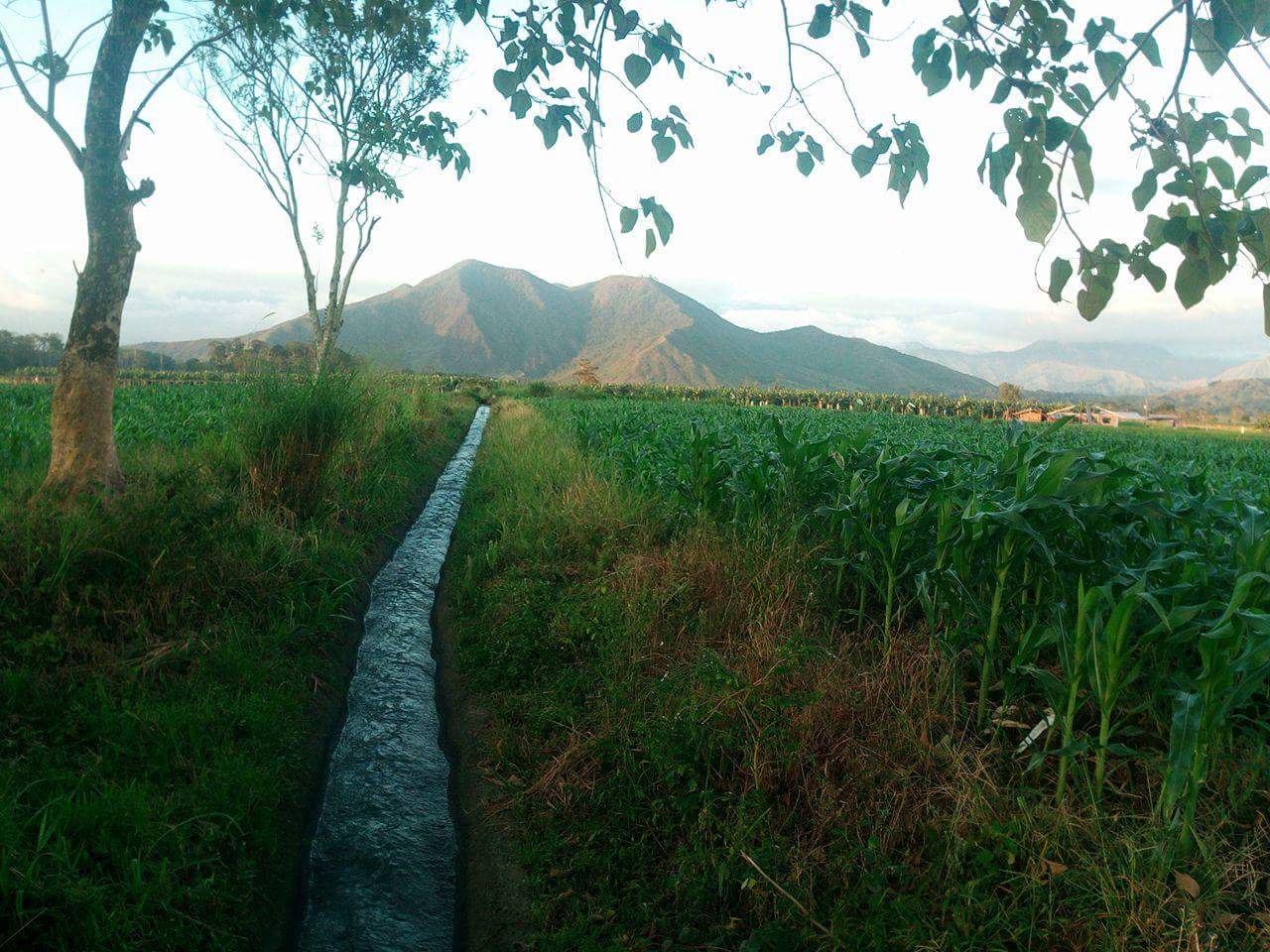 received_1191492960994152.jpeg
