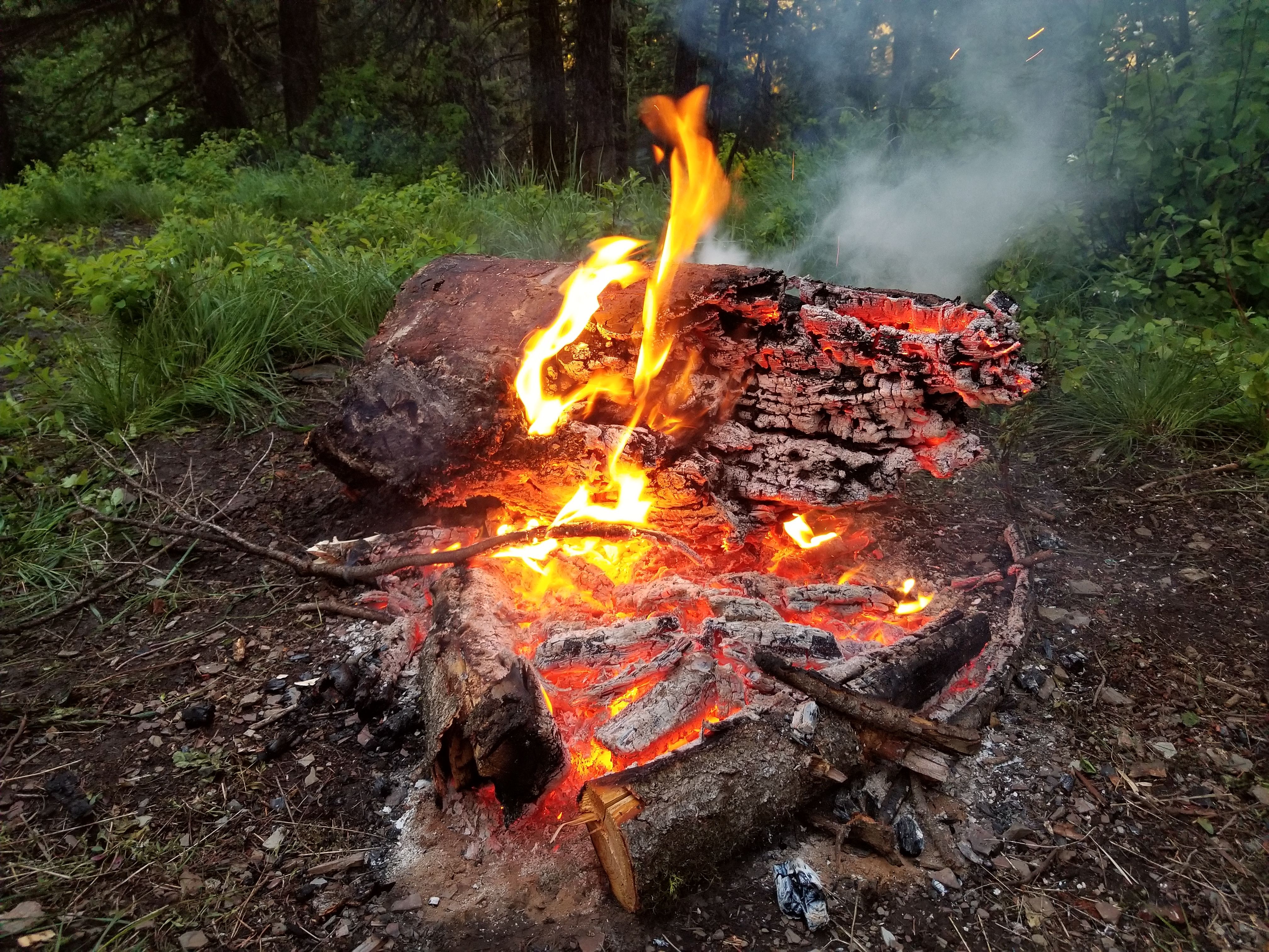 20170610_202323.jpg