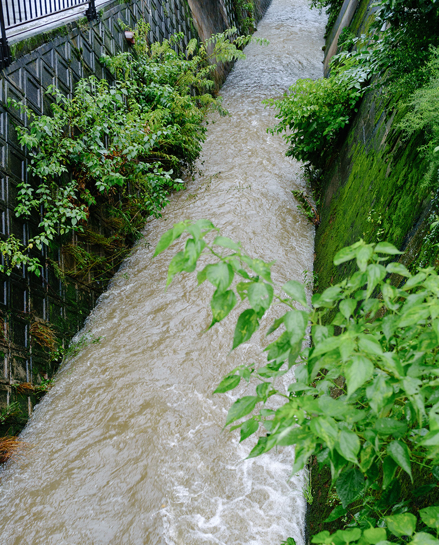rain6.jpg