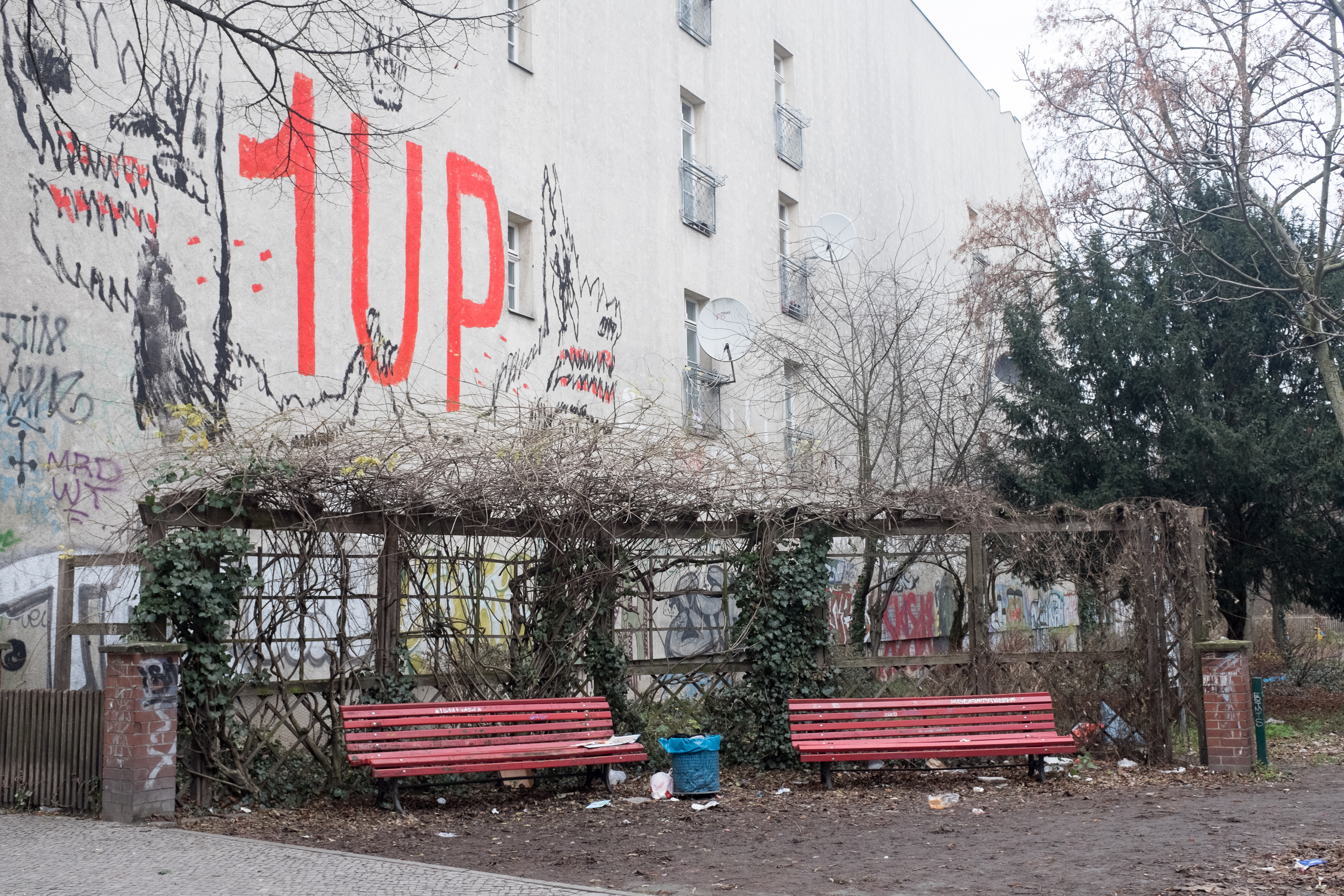 untitled (5 of 8).jpg