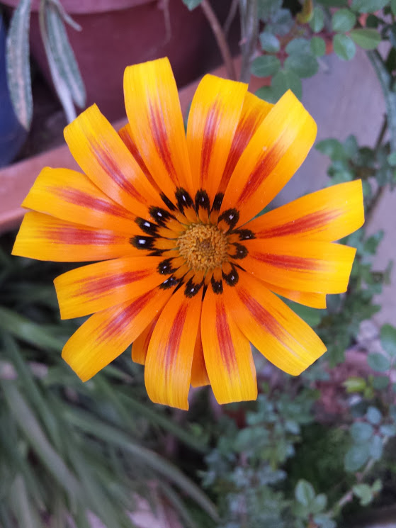 20150312_172922.jpg