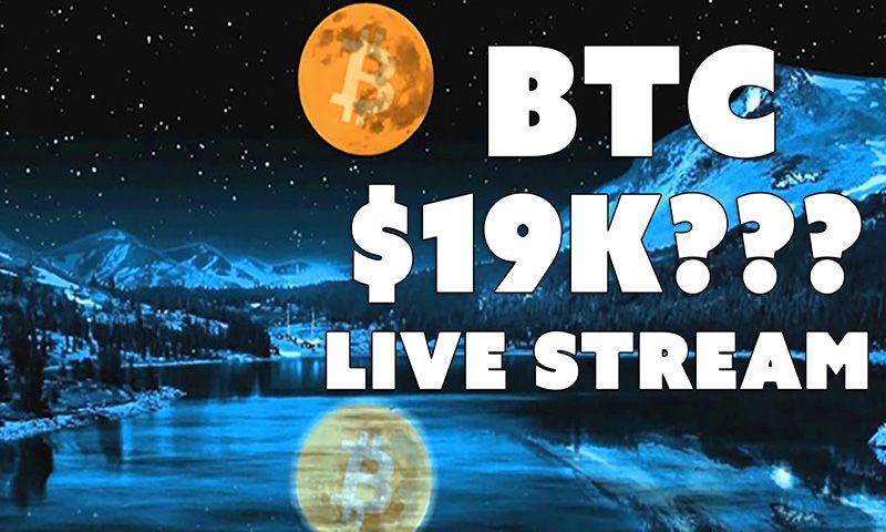 bitcoin moons 19k livestream steemit.jpg