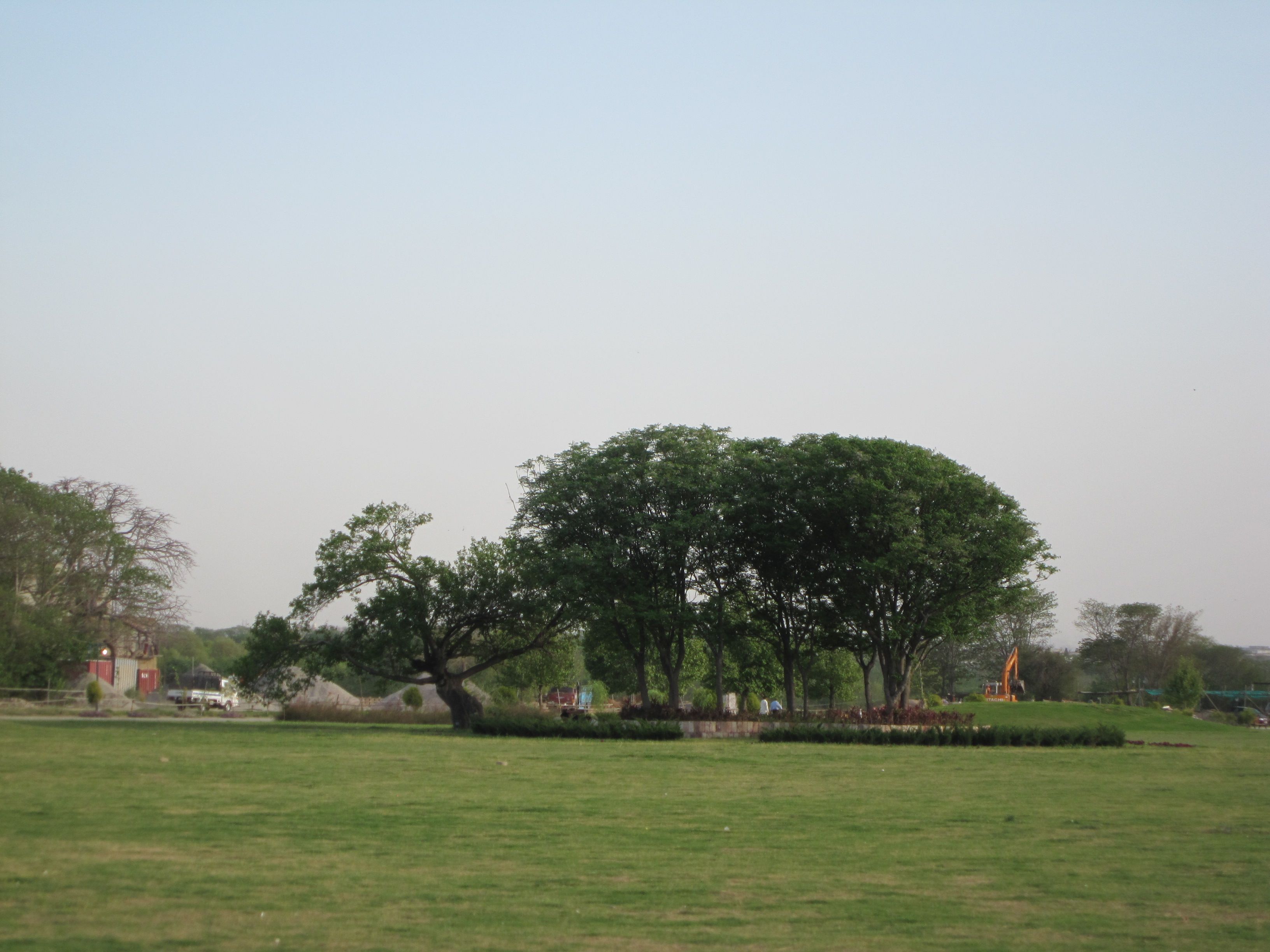 2011--4-24公园 (12).jpg