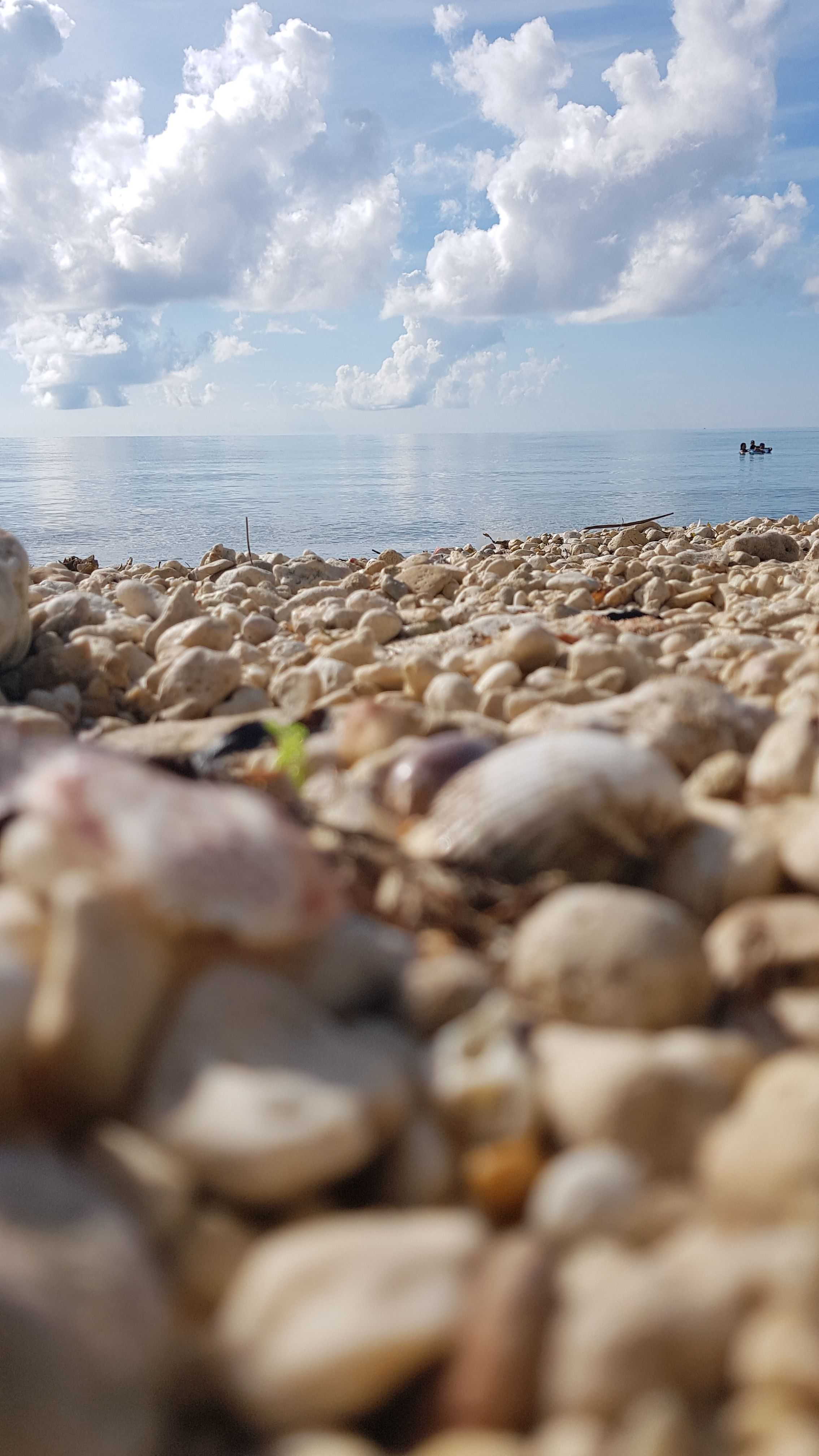 20180520_074449.jpg