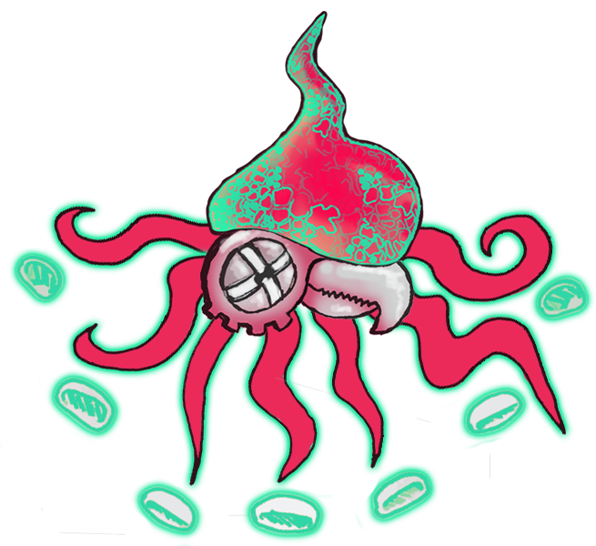 squid 1.png