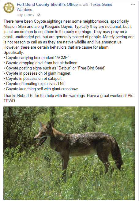 coyote.PNG