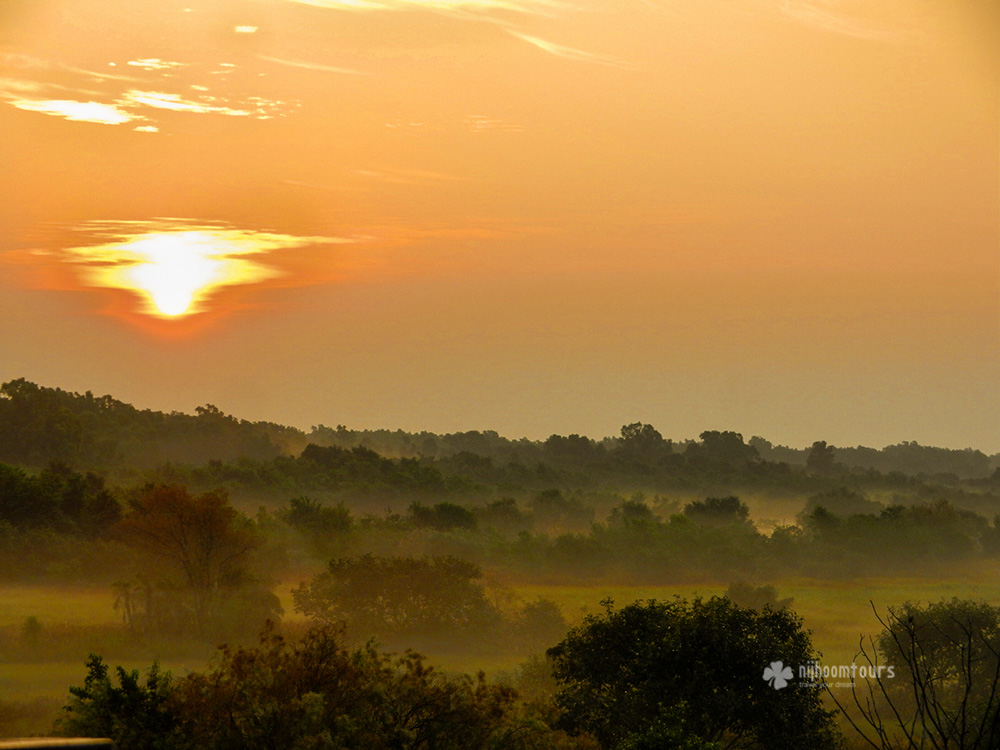 svetlana-sundarbans-sky-1000.jpg