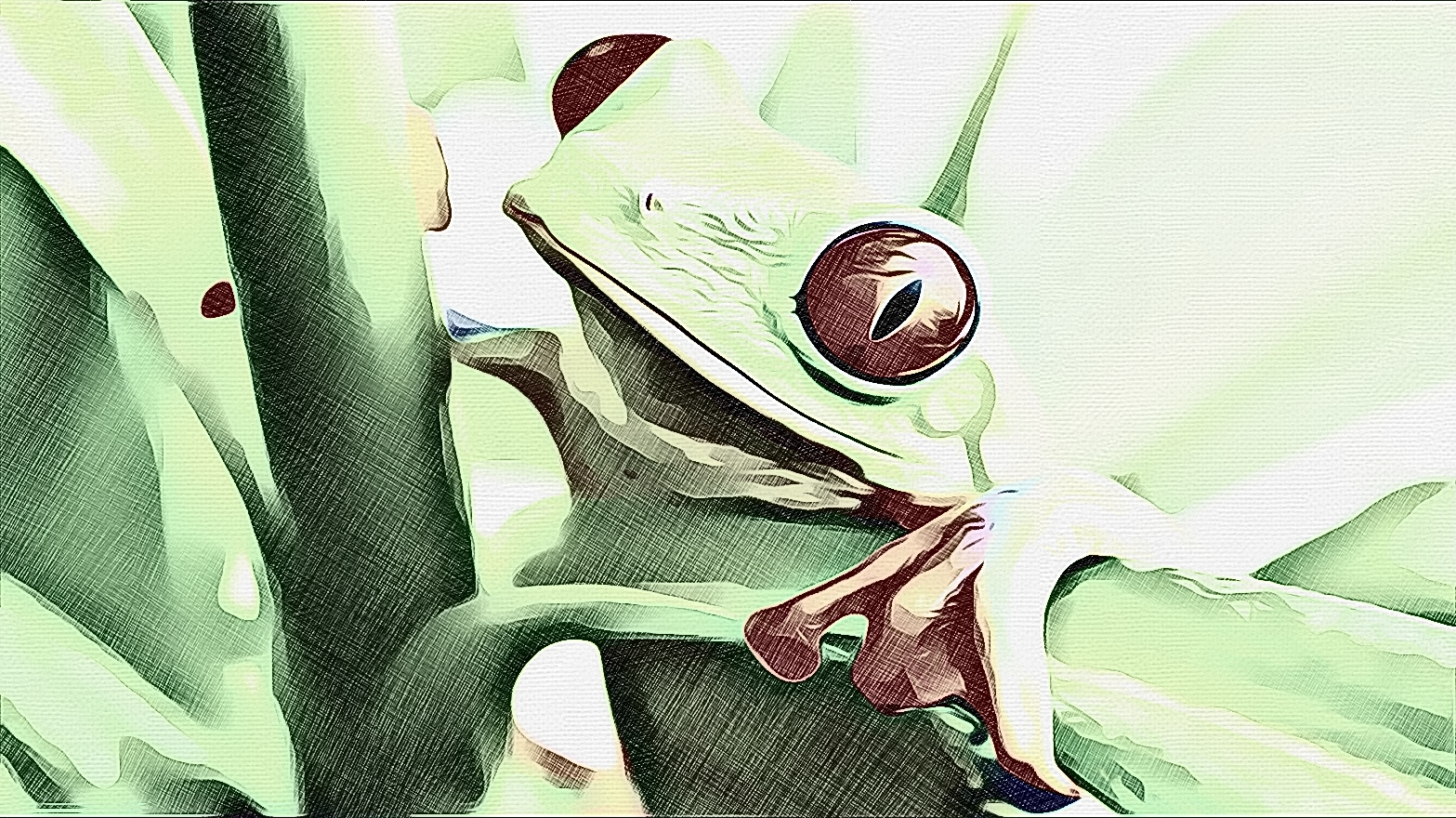 Intense_Tree_Frog_by_ViralVisionary.jpg