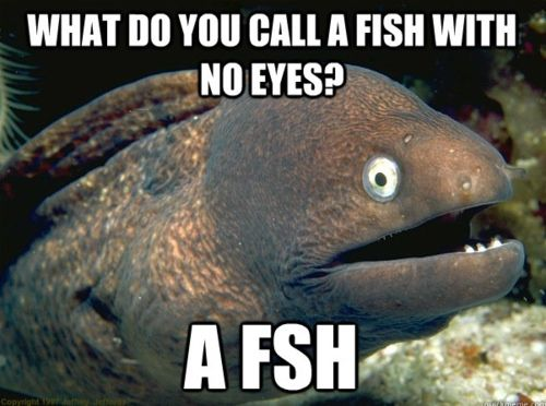 Fish meme - What do you call a fish with no eyes? — Steemit