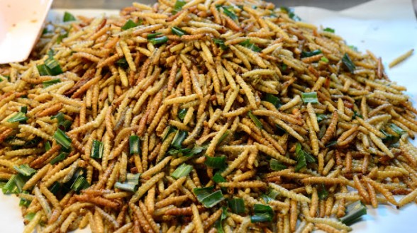 Fried Worms.jpg