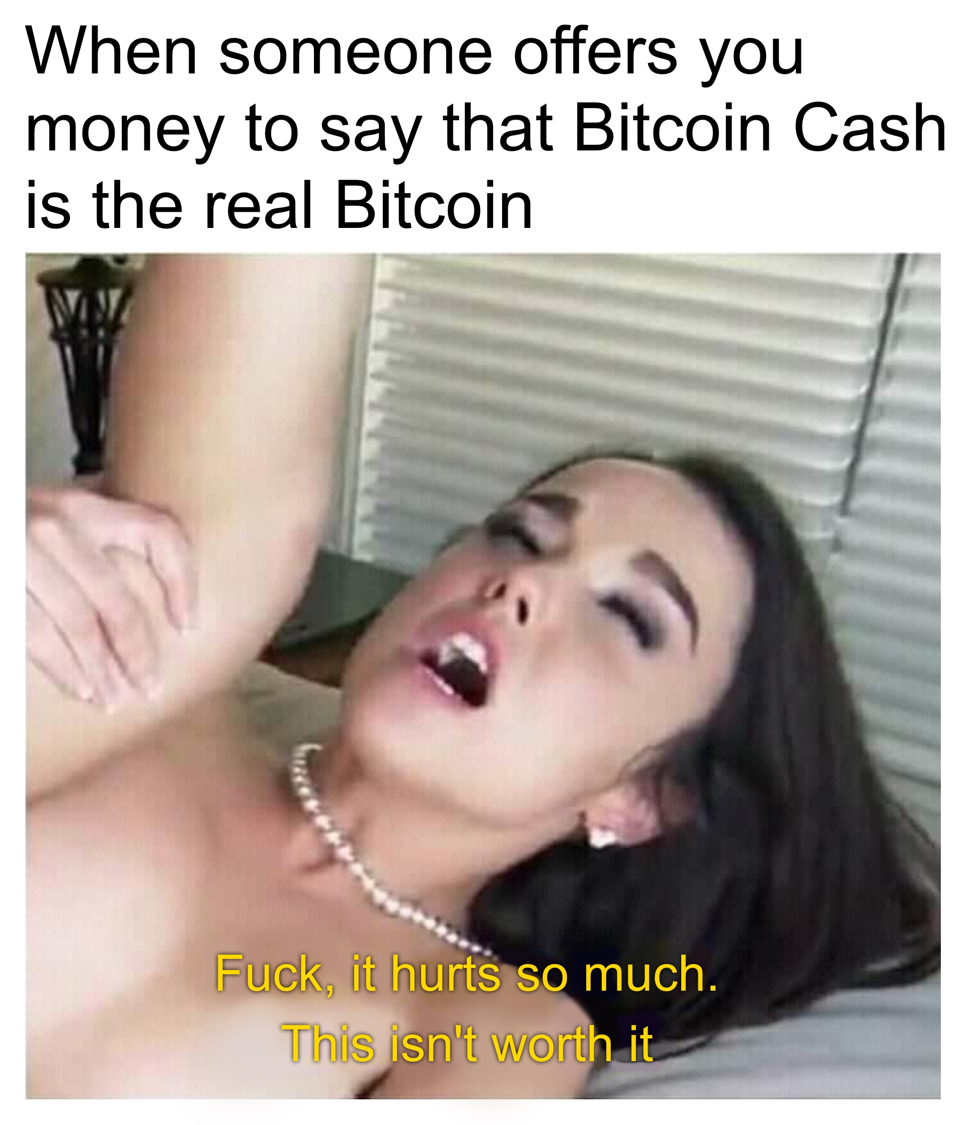 When someone offers you money to say that Bitcoin Cash is the real Bitcoin meme.jpg