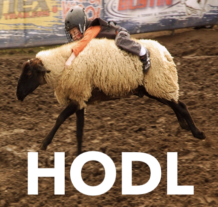 HODL2.png
