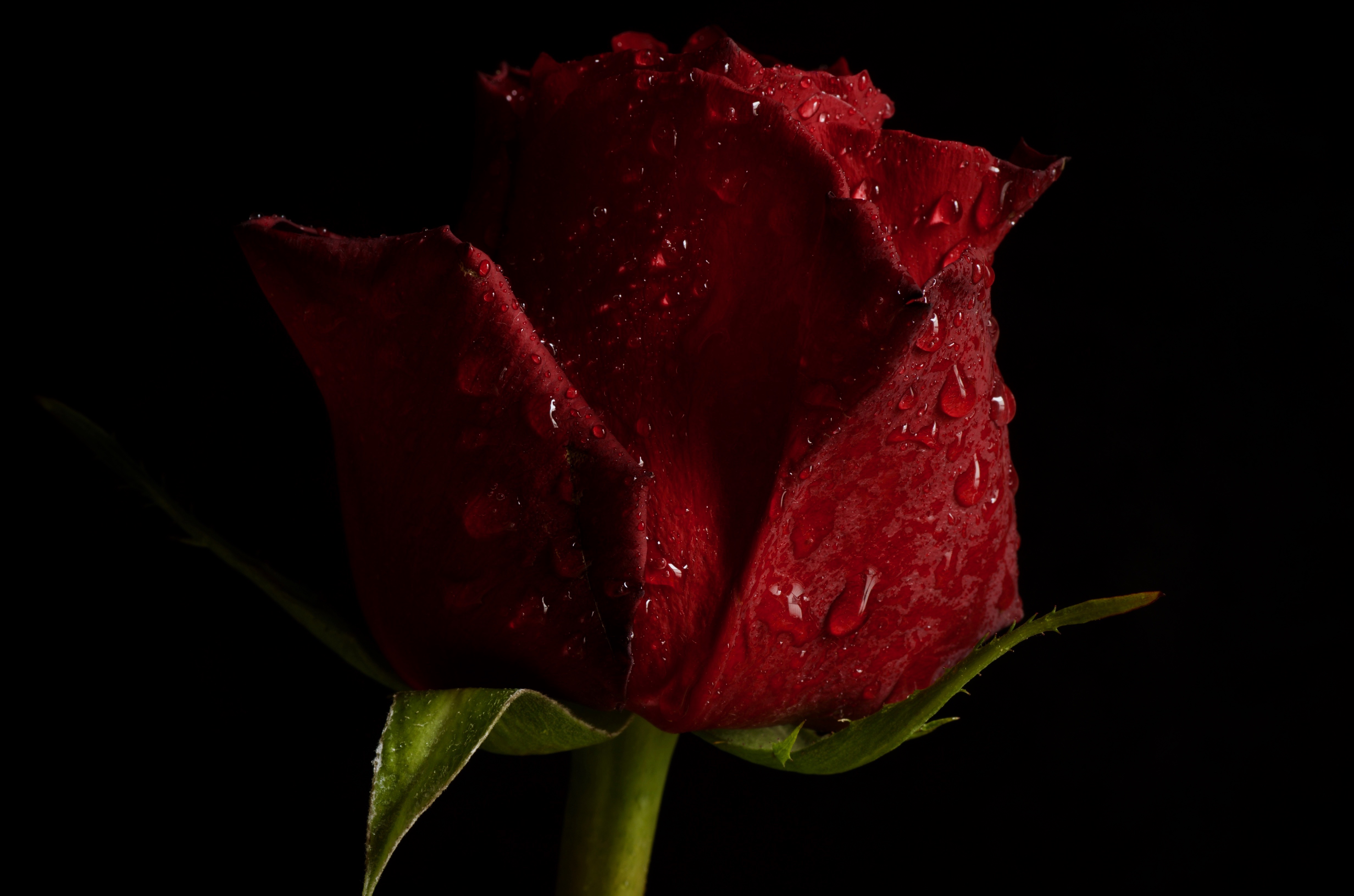 DSC_9328.jpg