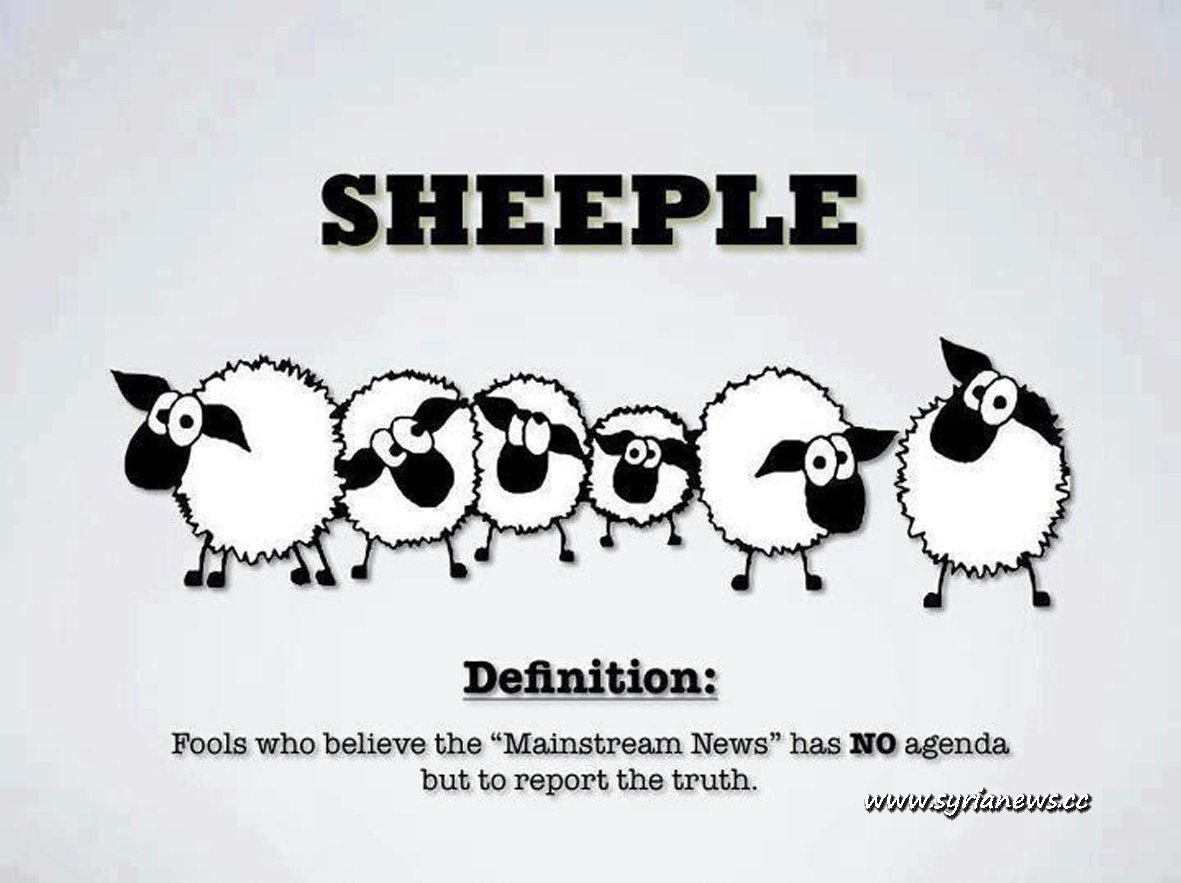 Image result for people being sheep