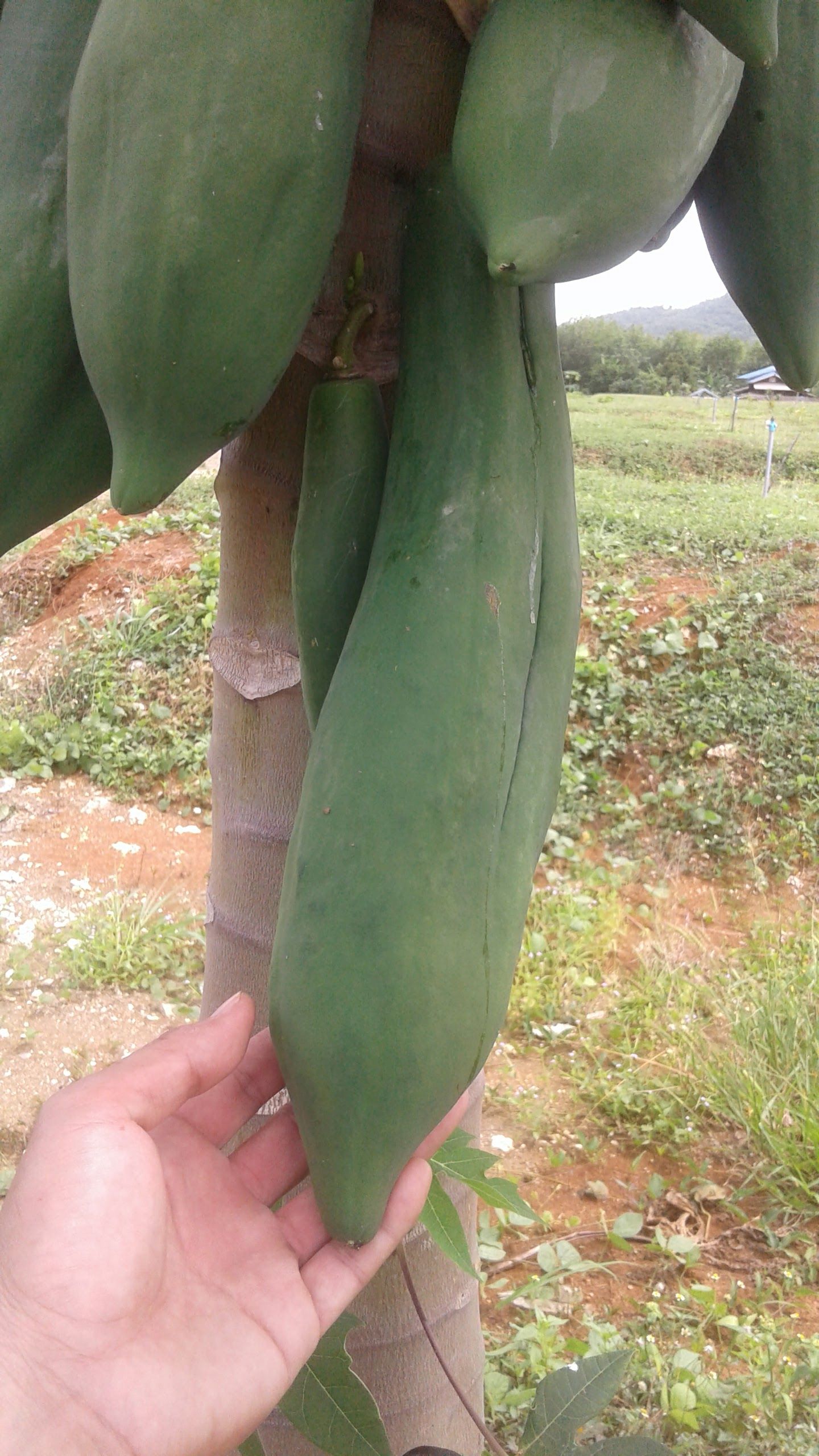 20170804_103532.jpg