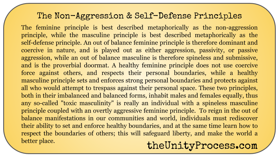 the non-aggression and self-defense principles.png