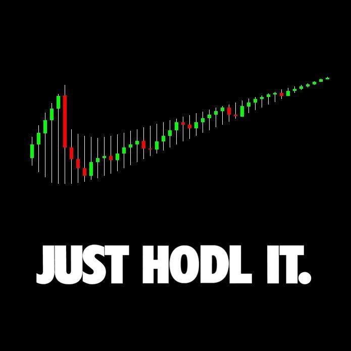 Just HODL it.JPG