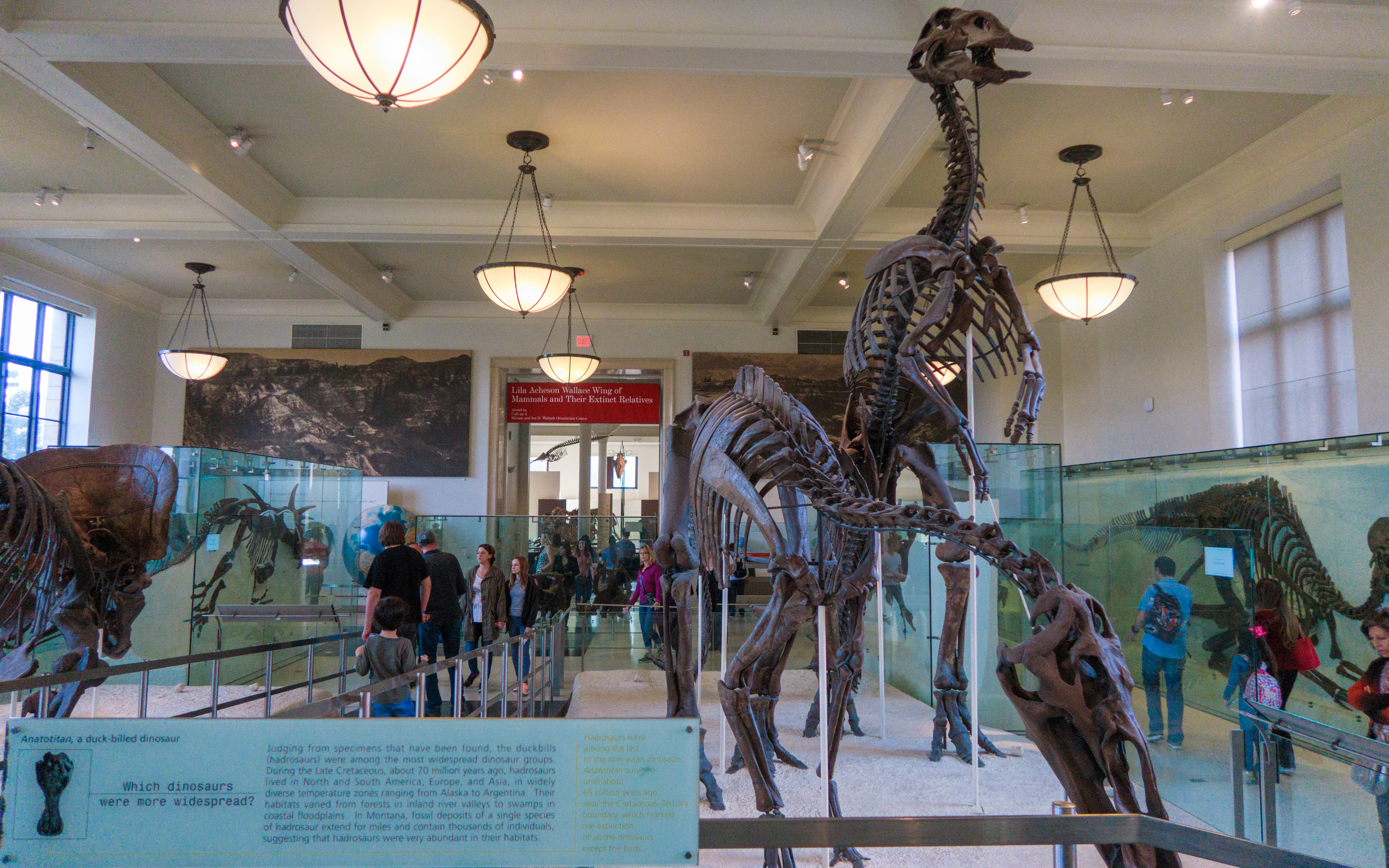 American Museum of Natural History_43.jpg